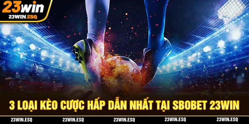 SBOBET 23WIN - Sân Chơi Thể Thao Chất Lượng, Uy Tín Số 1 3 3 loại kèo cược hấp dẫn nhất mà bạn có thể tham gia tại SBOBET 23WIN